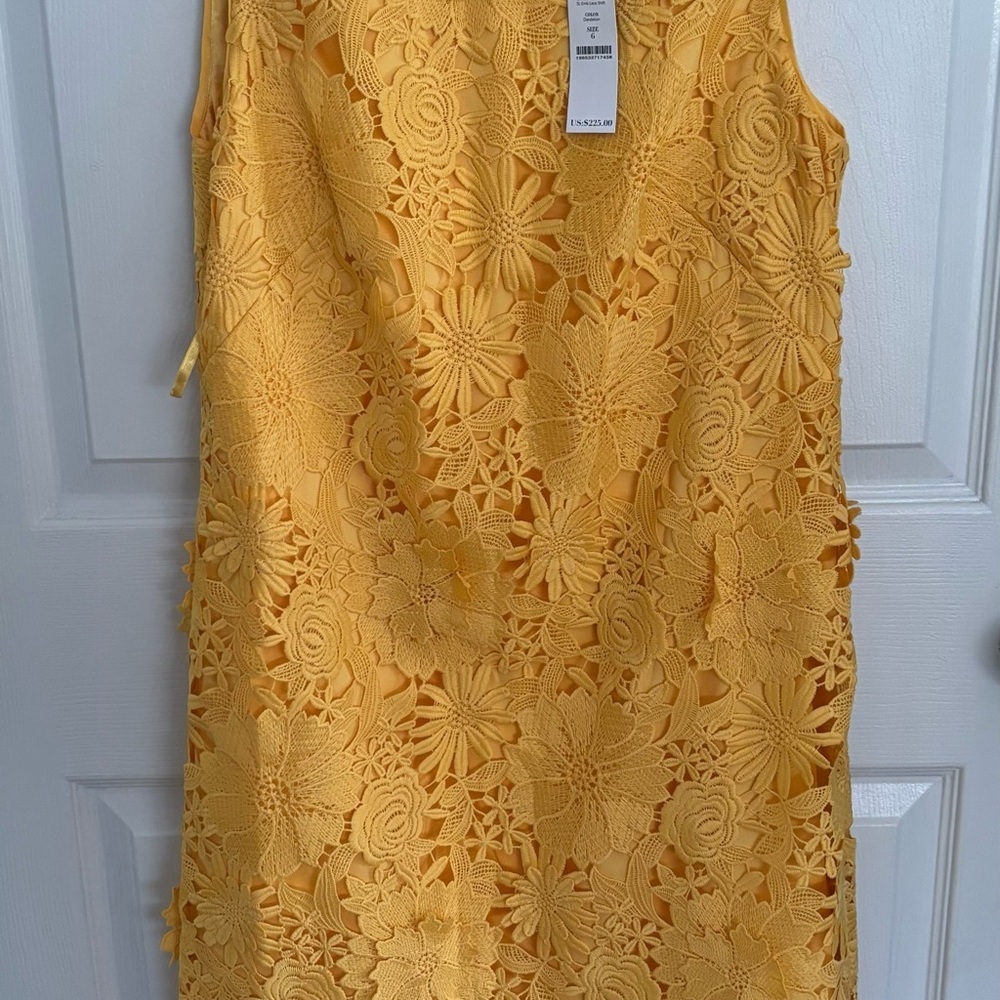 NWT WHBM Lace shift dress 6 Spring Easter Parade Lace Boho HAPPY Chic Bohemian - Picture 2 of 10